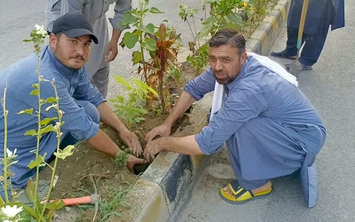 Volunteers planting tree saplings