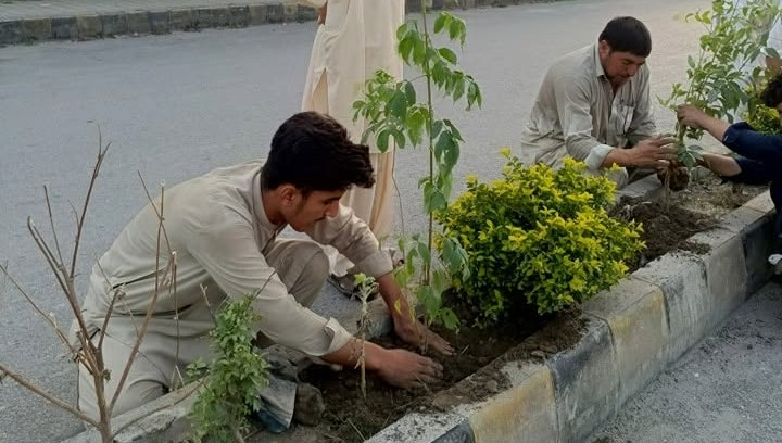 Plantation drive with volunteers
